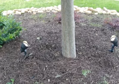 Light Electrical (1)