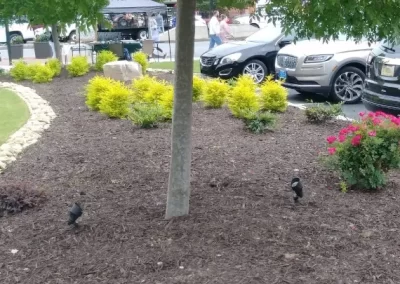 Light Electrical (5)