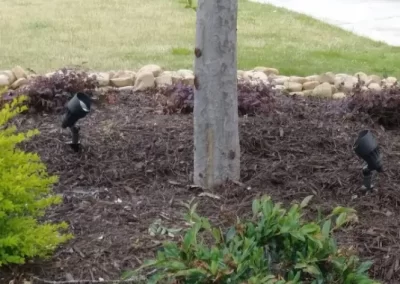 Light Electrical (6)