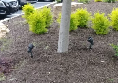 Light Electrical (8)