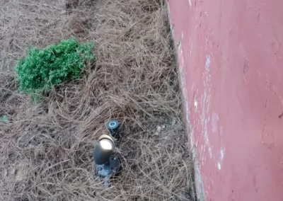 Light Electrical (9)